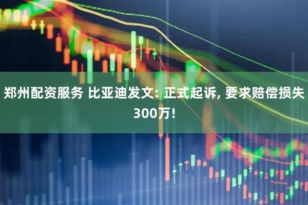 郑州配资服务 比亚迪发文: 正式起诉, 要求赔偿损失300万!